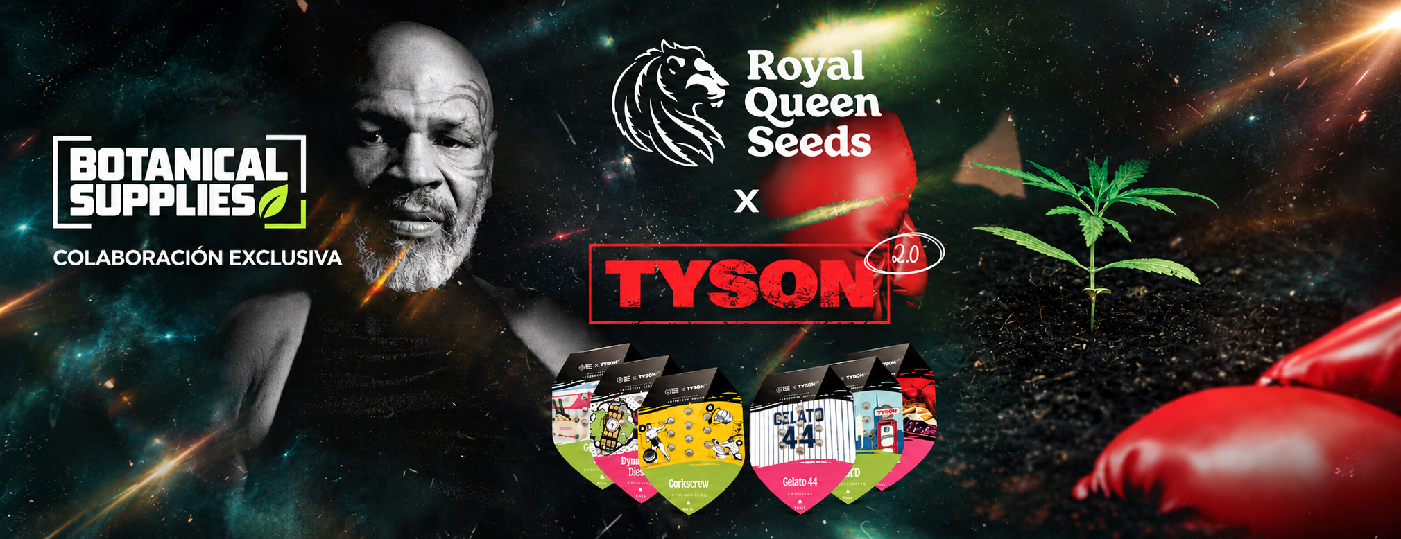 RQS TYSON